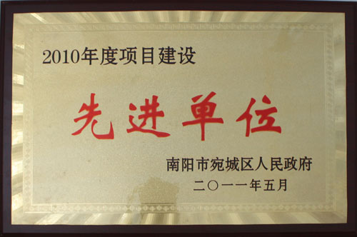 2010年項(xiàng)目建設(shè)先進(jìn)單位